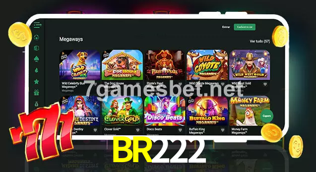 BR222 aplicativo