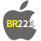 Aplicativo BR222 para iOS