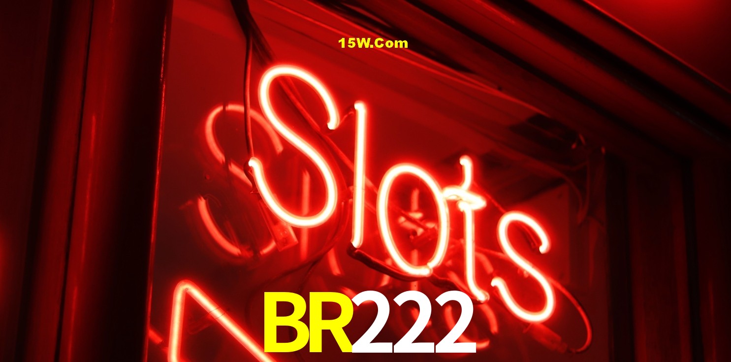 Security Systems BR222