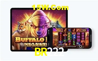 Design Responsivo BR222
